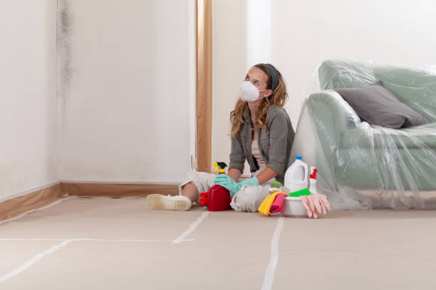 Reliable Mold Removal contractor in Peachtree Corners, GA by WQB Mold Removal